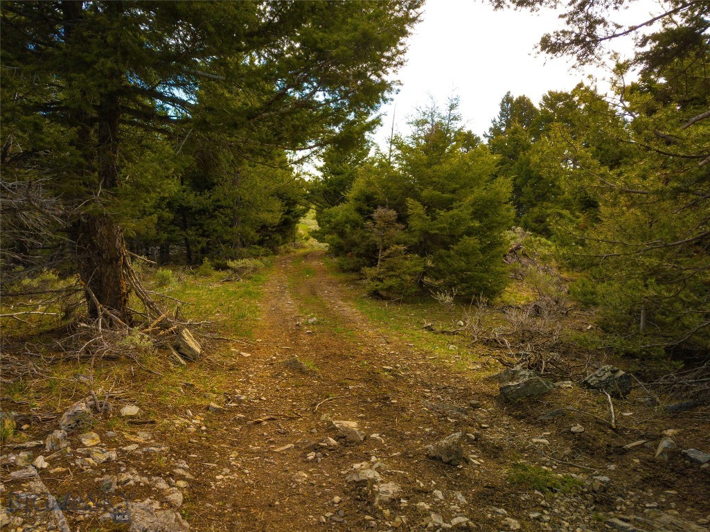 Tbd (58+/- Acres) Ottawa Gulch Road Property Photo 49