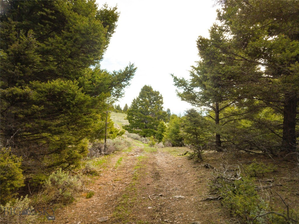 Tbd (58+/- Acres) Ottawa Gulch Road Property Photo 50