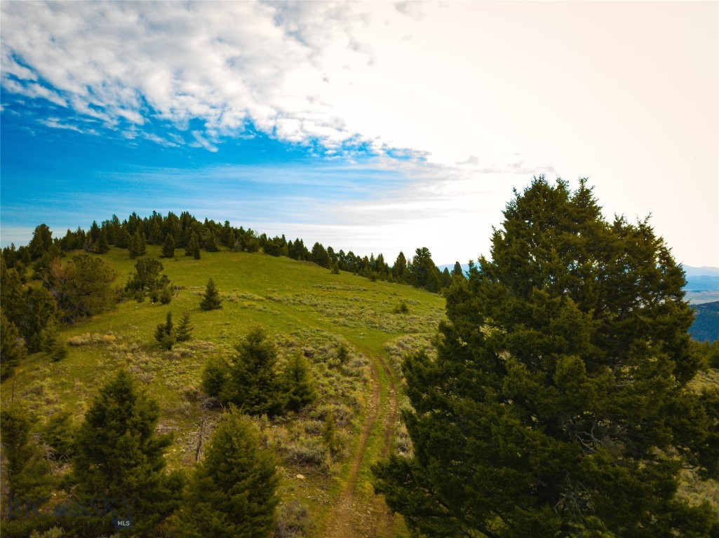 Tbd (58+/- Acres) Ottawa Gulch Road Property Photo 51