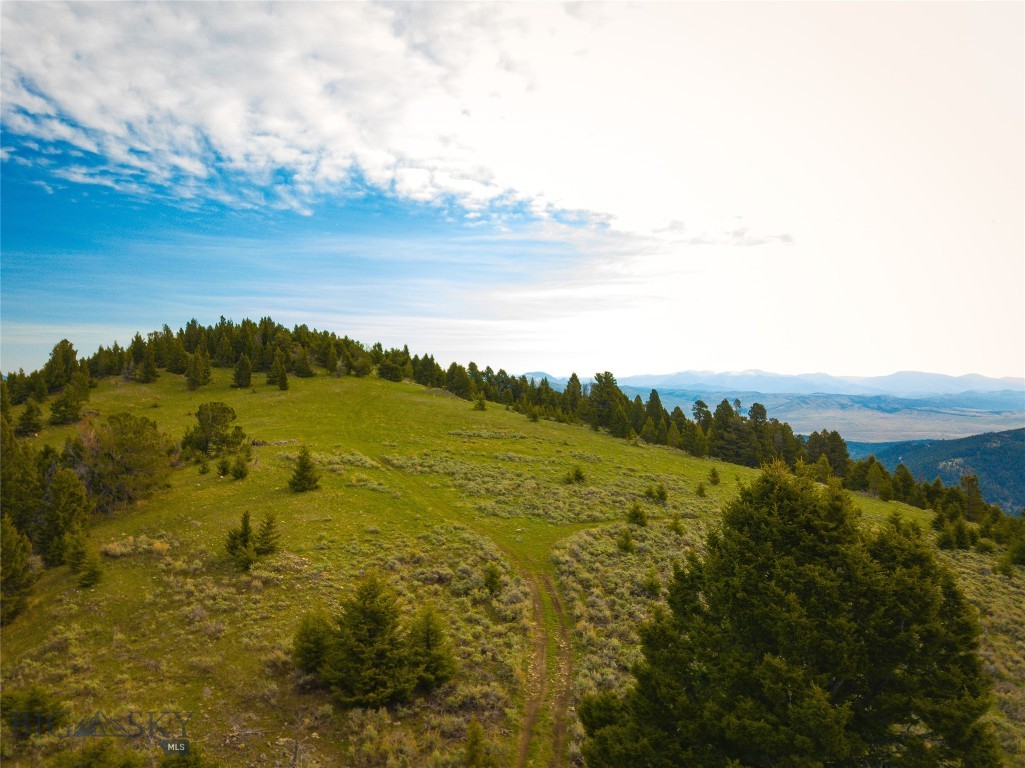 Tbd (58+/- Acres) Ottawa Gulch Road Property Photo 52