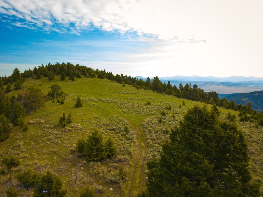 Tbd (58+/- Acres) Ottawa Gulch Road Property Photo 53