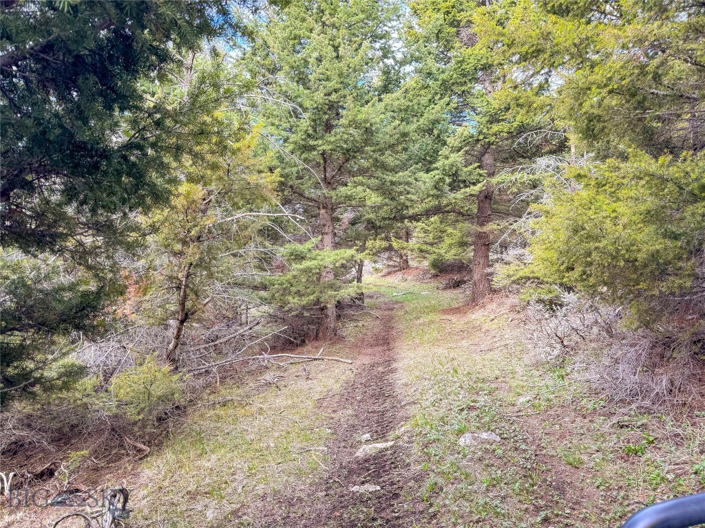 Tbd (58+/- Acres) Ottawa Gulch Road Property Photo 54