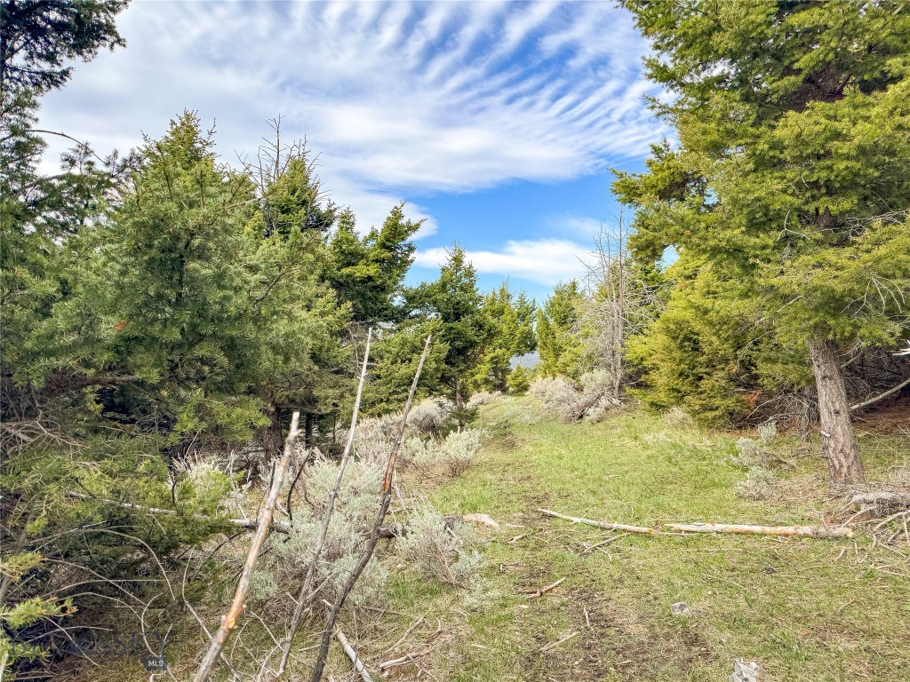 Tbd (58+/- Acres) Ottawa Gulch Road Property Photo 55