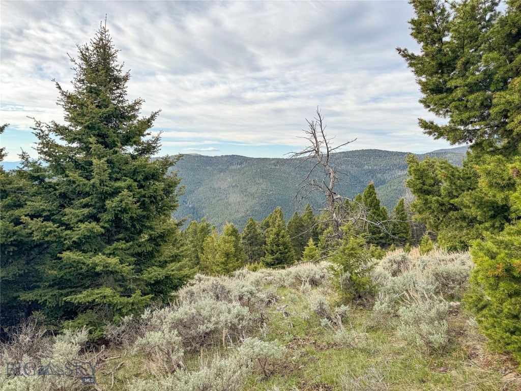 Tbd (58+/- Acres) Ottawa Gulch Road Property Photo 56