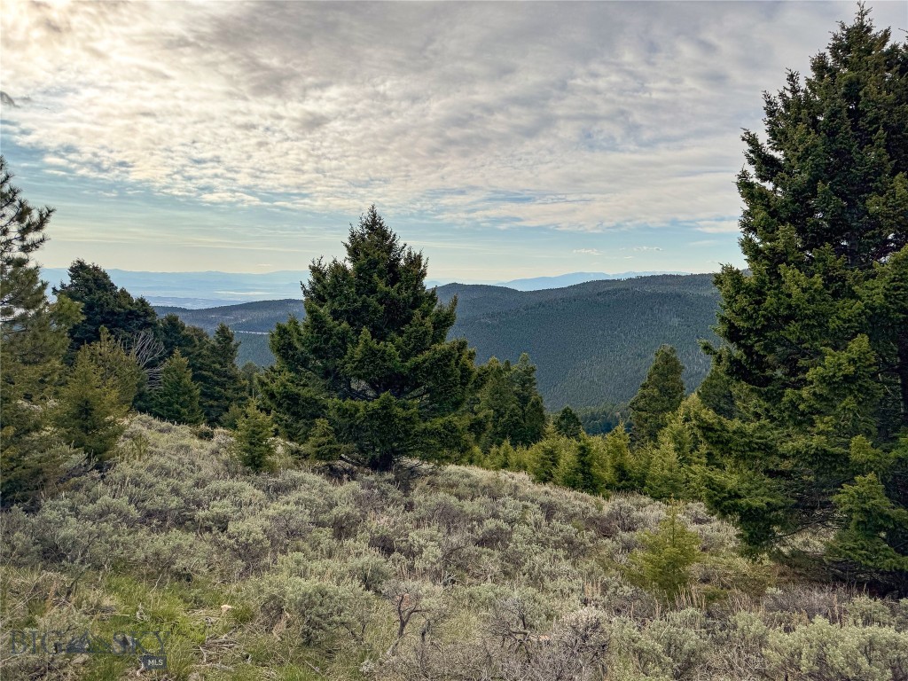 Tbd (58+/- Acres) Ottawa Gulch Road Property Photo 57