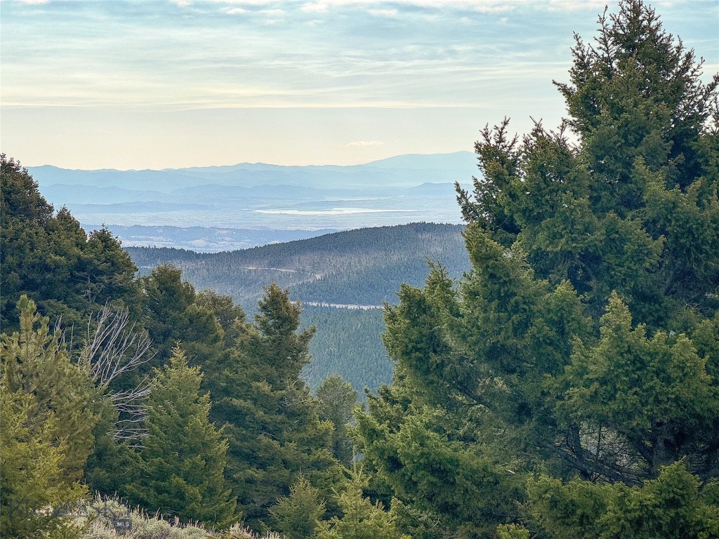 Tbd (58+/- Acres) Ottawa Gulch Road Property Photo 58