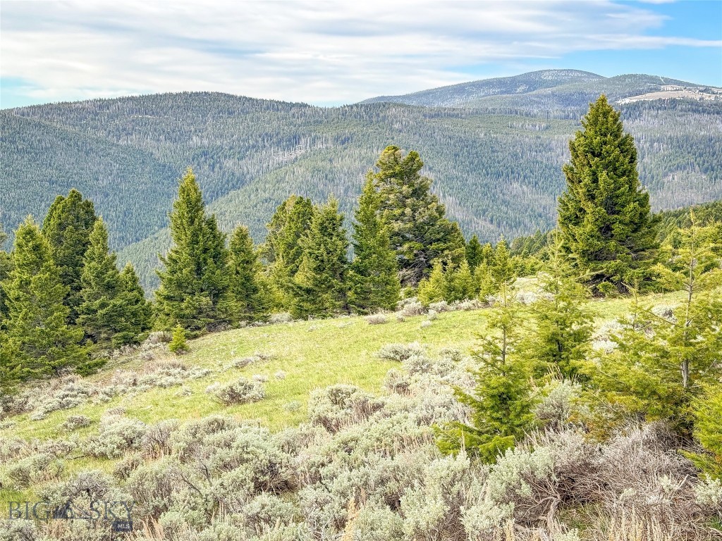 Tbd (58+/- Acres) Ottawa Gulch Road Property Photo 59