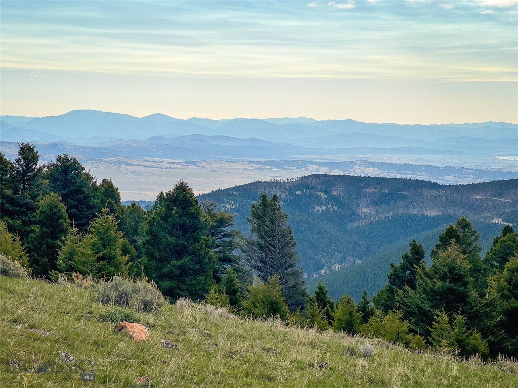 Tbd (58+/- Acres) Ottawa Gulch Road Property Photo 61