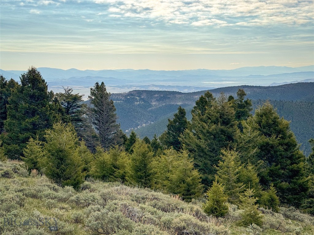 Tbd (58+/- Acres) Ottawa Gulch Road Property Photo 62