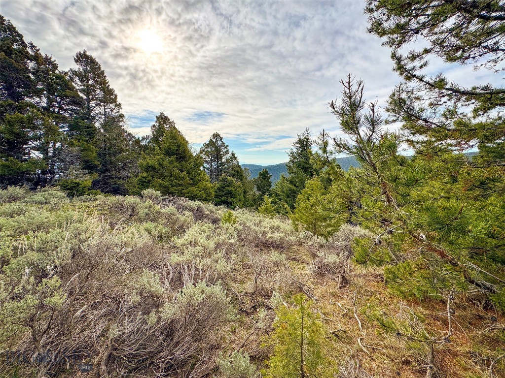 Tbd (58+/- Acres) Ottawa Gulch Road Property Photo 63