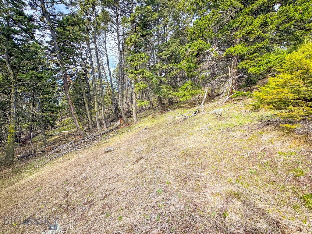 Tbd (58+/- Acres) Ottawa Gulch Road Property Photo 64
