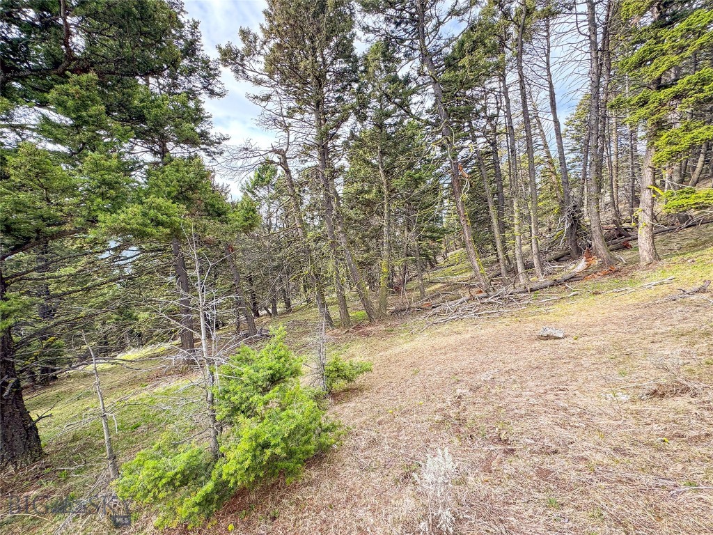 Tbd (58+/- Acres) Ottawa Gulch Road Property Photo 65