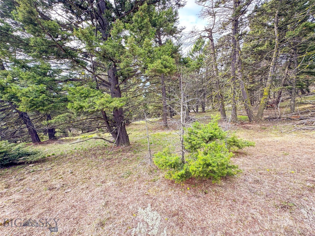 Tbd (58+/- Acres) Ottawa Gulch Road Property Photo 66