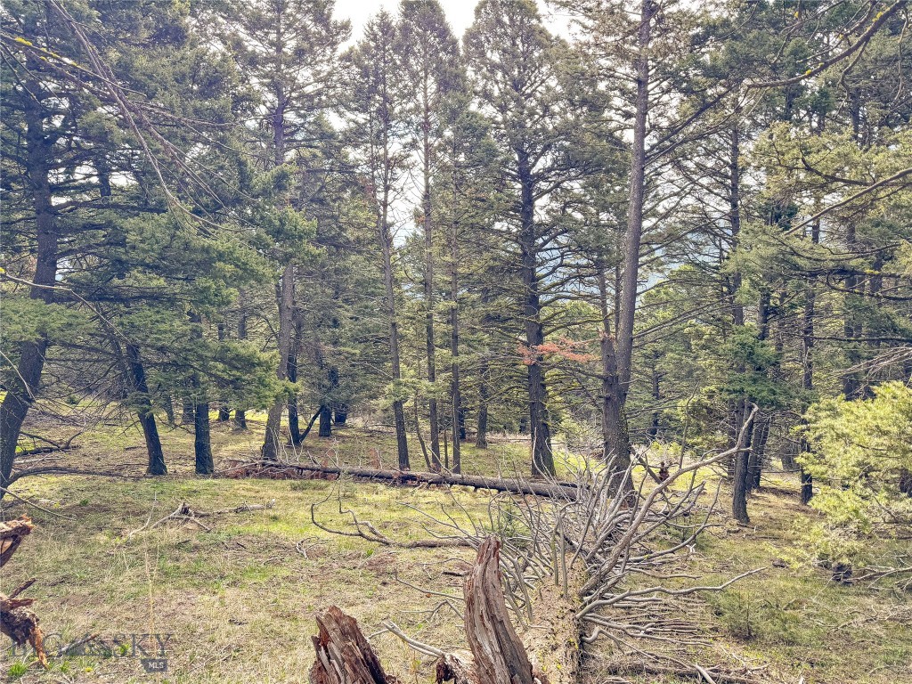 Tbd (58+/- Acres) Ottawa Gulch Road Property Photo 67