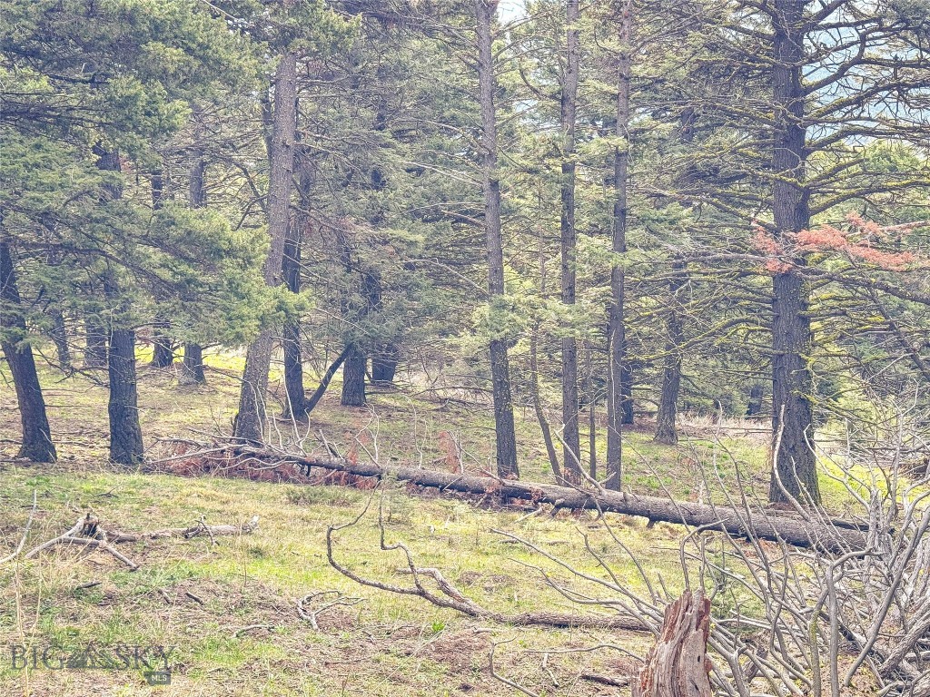 Tbd (58+/- Acres) Ottawa Gulch Road Property Photo 68