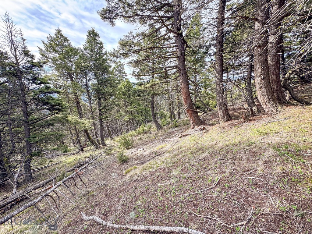 Tbd (58+/- Acres) Ottawa Gulch Road Property Photo 69