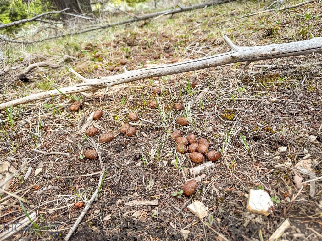 Tbd (58+/- Acres) Ottawa Gulch Road Property Photo 70