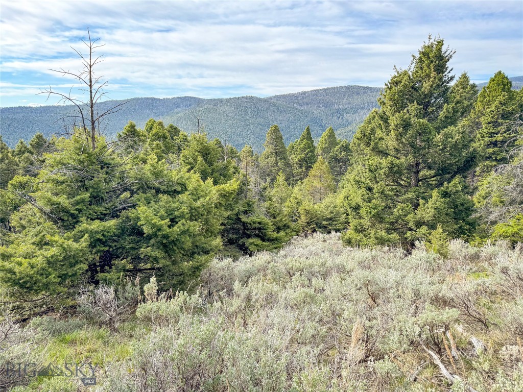 Tbd (58+/- Acres) Ottawa Gulch Road Property Photo 71