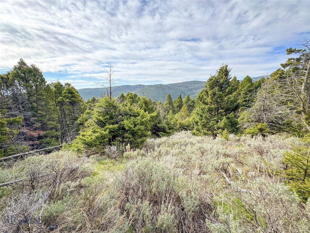 Tbd (58+/- Acres) Ottawa Gulch Road Property Photo 72