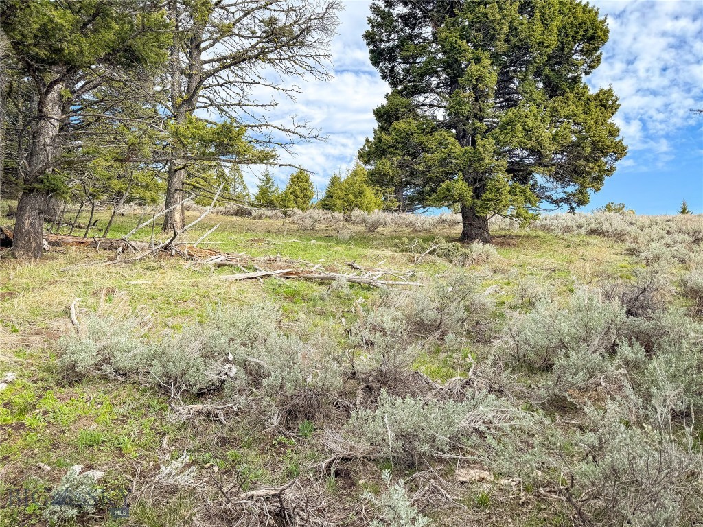 Tbd (58+/- Acres) Ottawa Gulch Road Property Photo 73