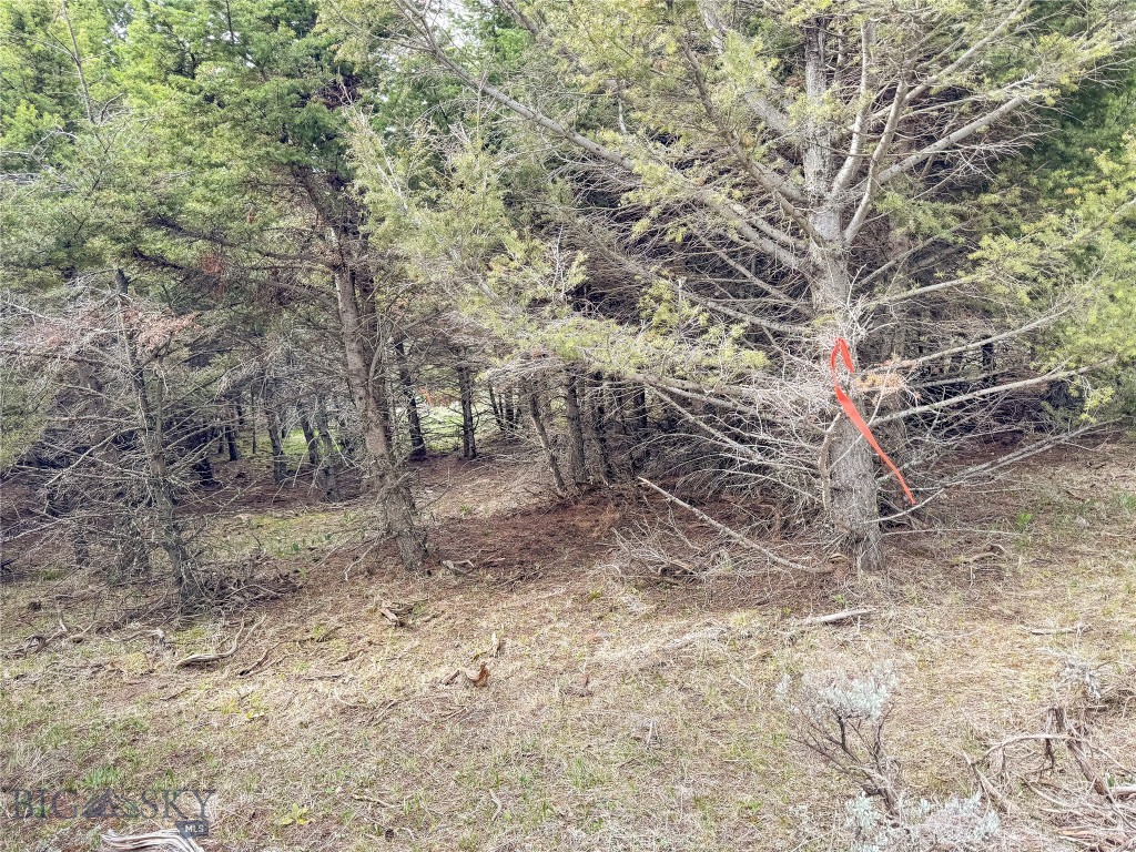 Tbd (58+/- Acres) Ottawa Gulch Road Property Photo 74