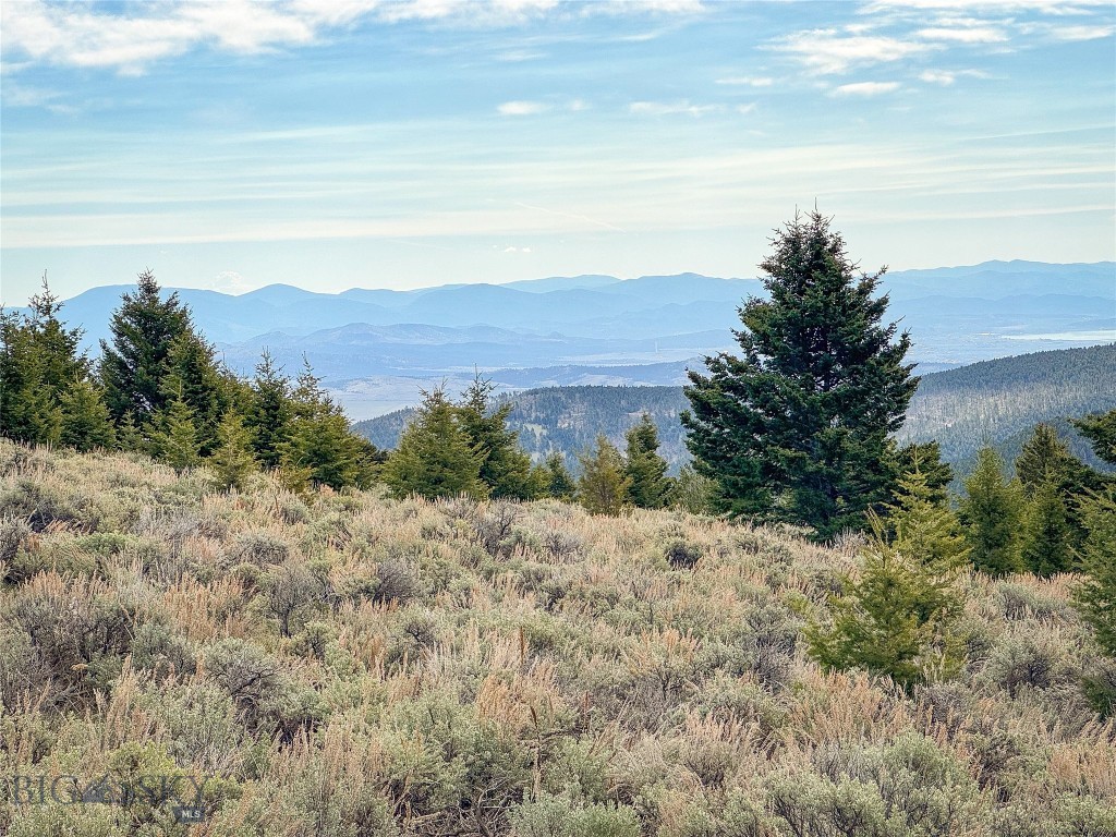 Tbd (58+/- Acres) Ottawa Gulch Road Property Photo 75