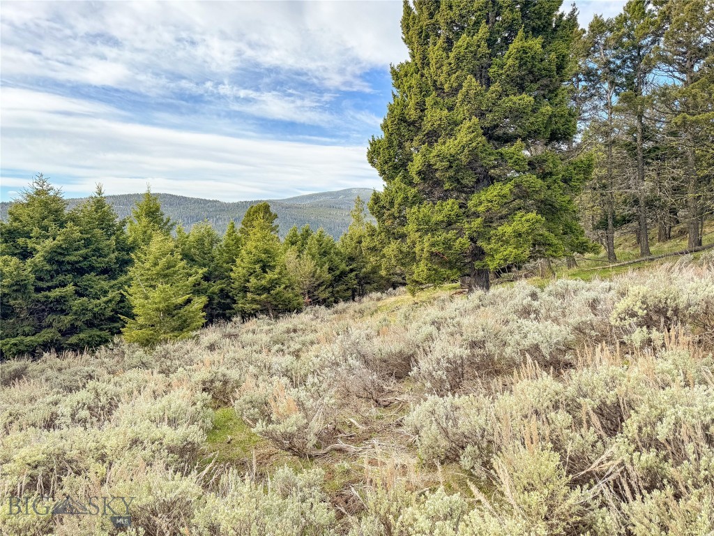 Tbd (58+/- Acres) Ottawa Gulch Road Property Photo 77