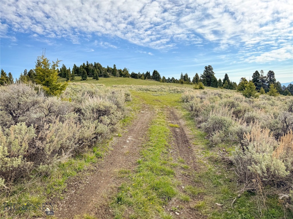 Tbd (58+/- Acres) Ottawa Gulch Road Property Photo 78