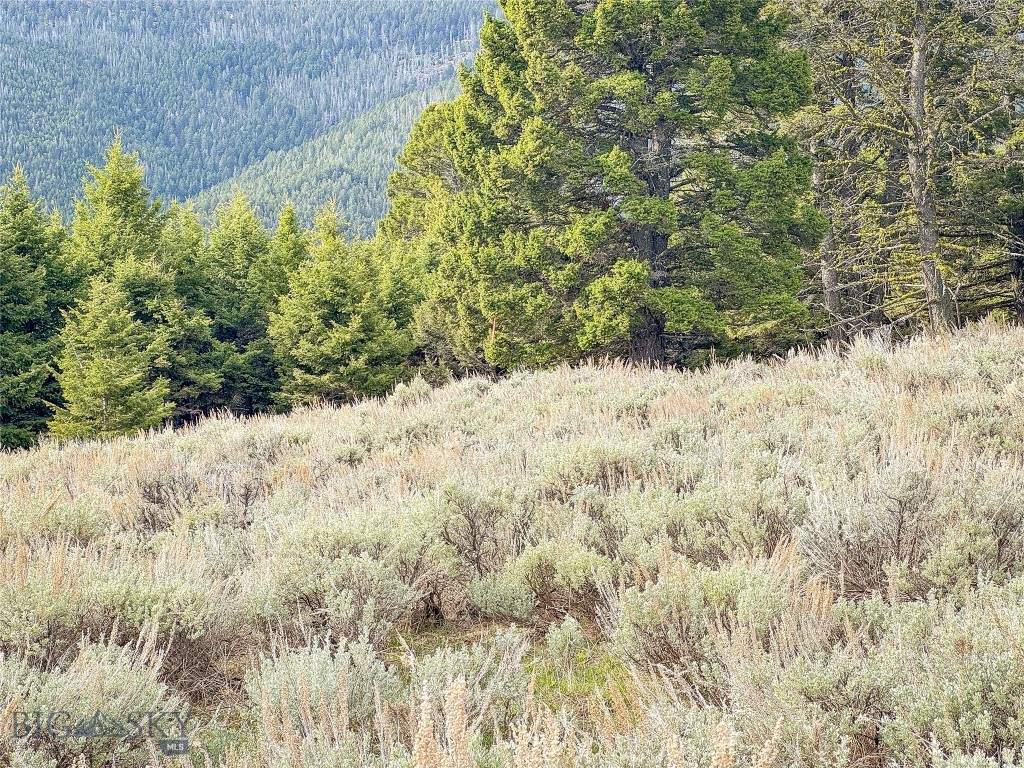 Tbd (58+/- Acres) Ottawa Gulch Road Property Photo 79