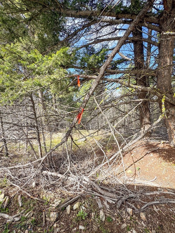 Tbd (58+/- Acres) Ottawa Gulch Road Property Photo 80