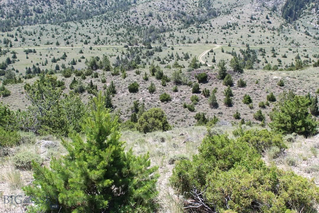 Tbd Red Wing Lode Ms 3180 & Elgin Lode Ms 3181 Property Photo 1