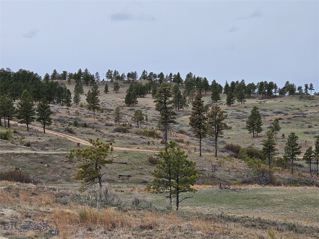 Mc-42 Moon Creek Road Property Photo 1