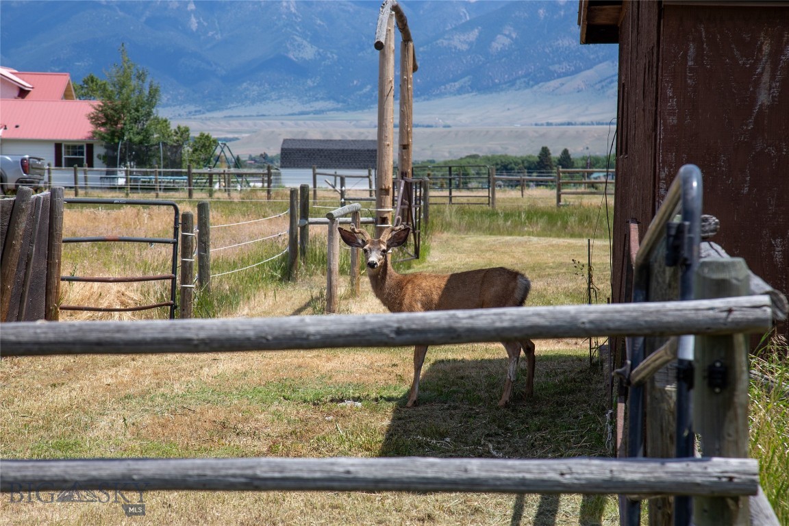 107 Antelope Meadows Road Property Photo 54