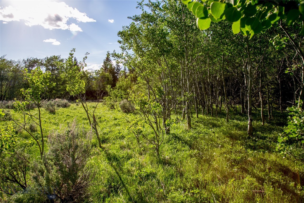 Sun West Ranch Lot 34 Property Photo 17