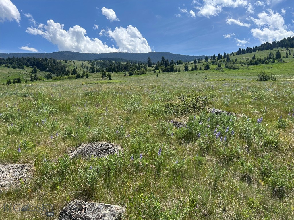Tbd Rendezvous Trail Property Photo 3