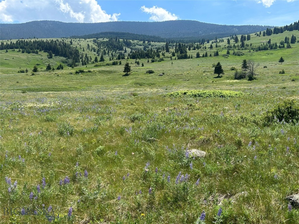 Tbd Rendezvous Trail Property Photo 4