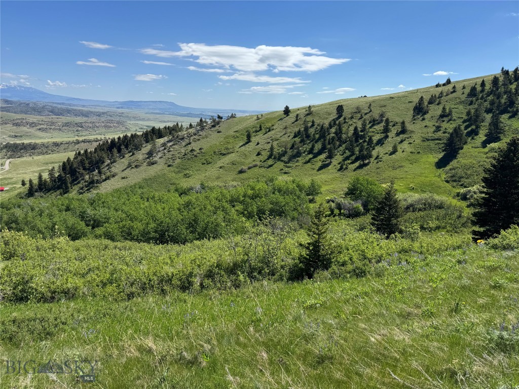 Tbd Rendezvous Trail Property Photo 6