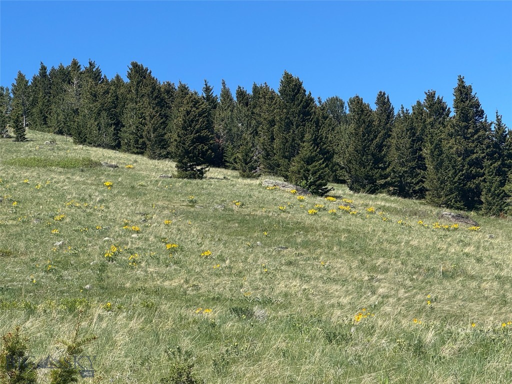 Tbd Rendezvous Trail Property Photo 9