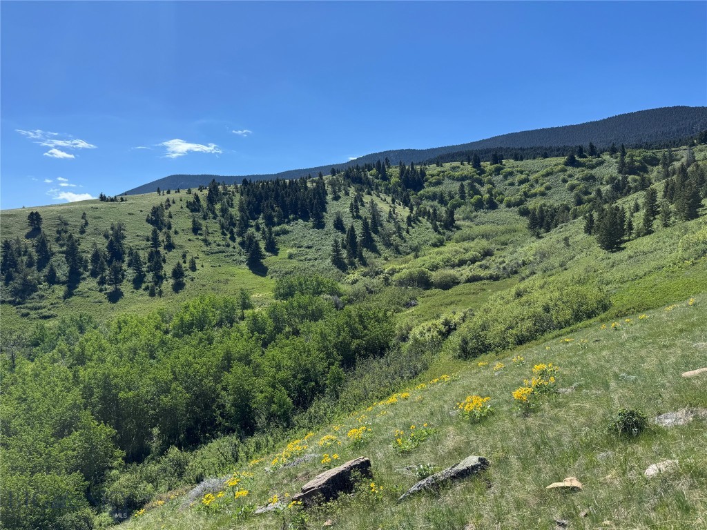 Tbd Rendezvous Trail Property Photo 10