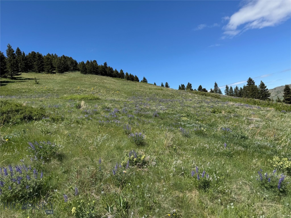 Tbd Rendezvous Trail Property Photo 12