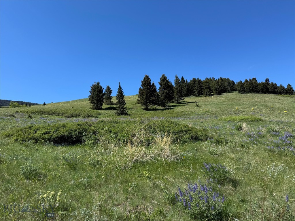 Tbd Rendezvous Trail Property Photo 13