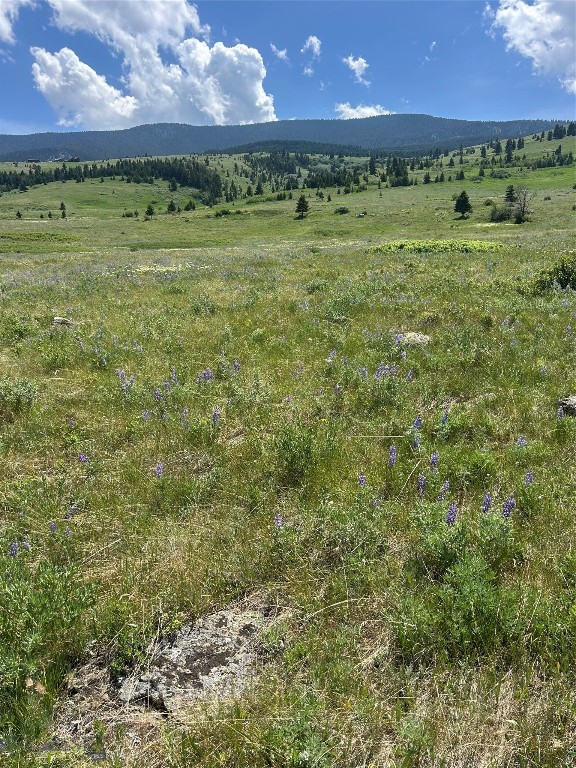Tbd Rendezvous Trail Property Photo 17