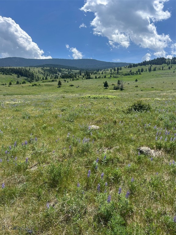 Tbd Rendezvous Trail Property Photo 20