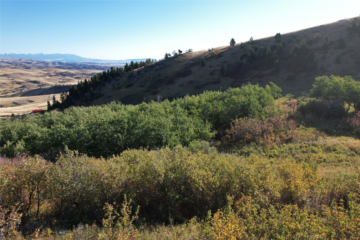 Tbd Rendezvous Trail Property Photo 22