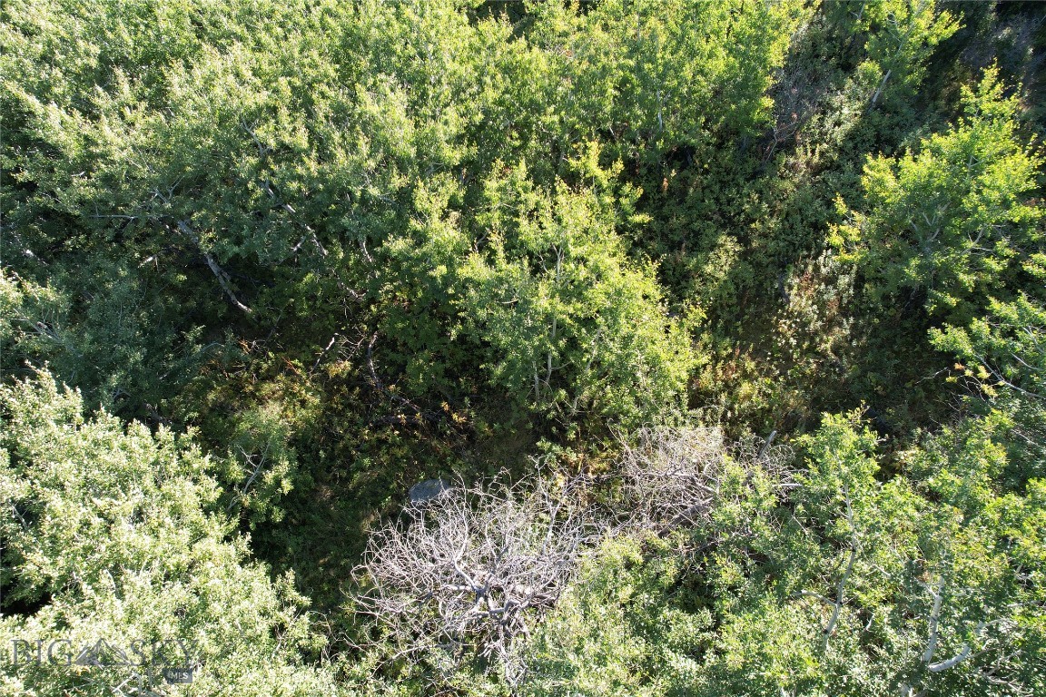 Tbd Rendezvous Trail Property Photo 23