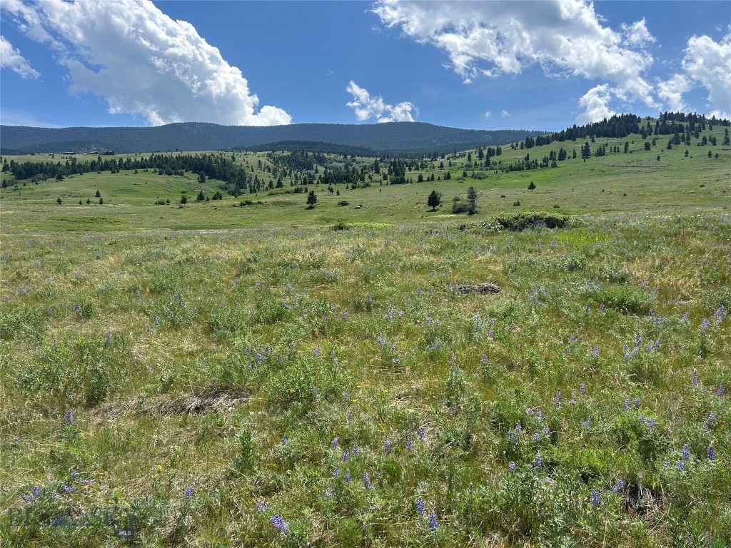 Tbd Rendezvous Trail Property Photo 25