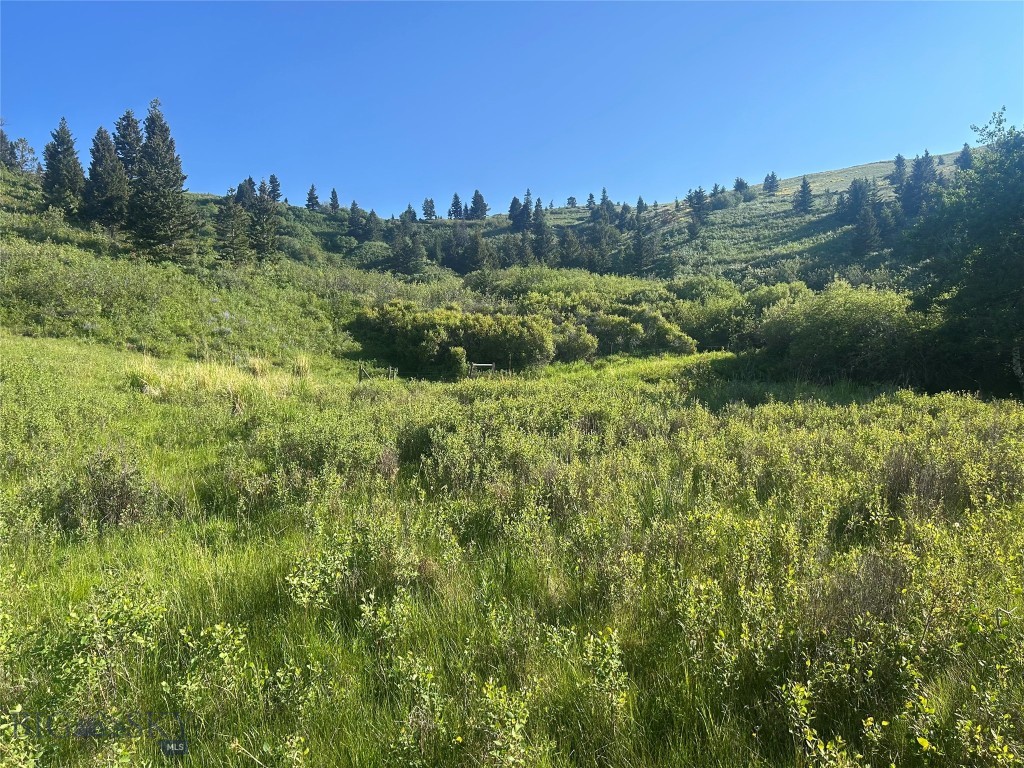 Tbd Rendezvous Trail Property Photo 29