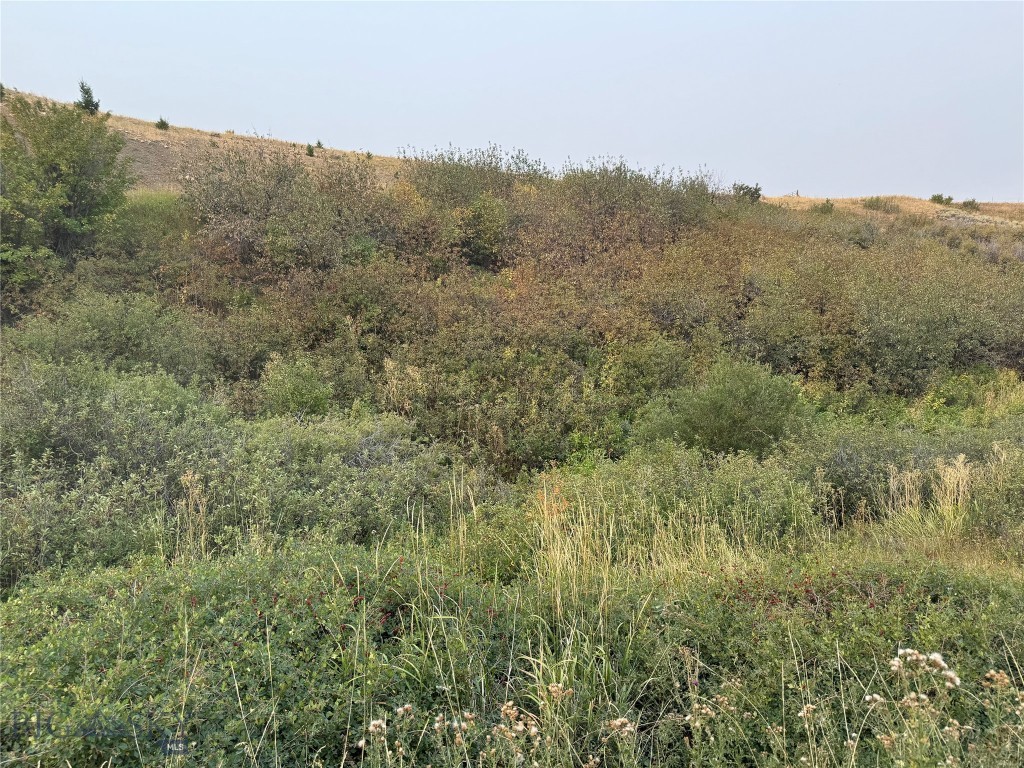 Tbd Rendezvous Trail Property Photo 35