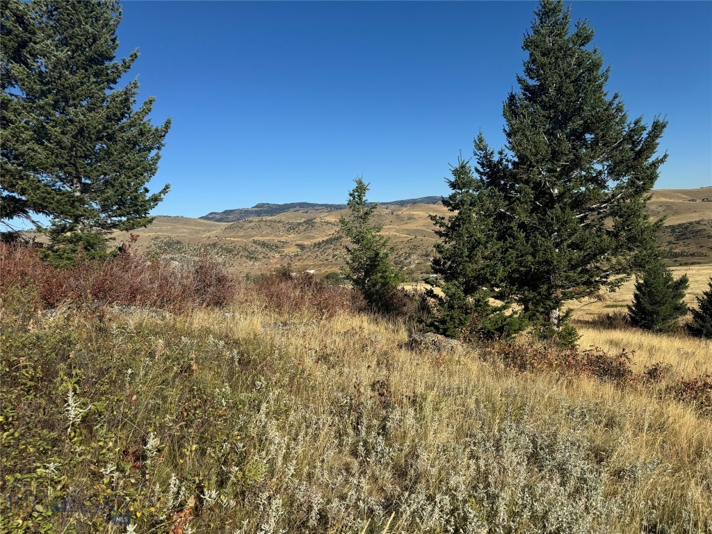Tbd Rendezvous Trail Property Photo 36