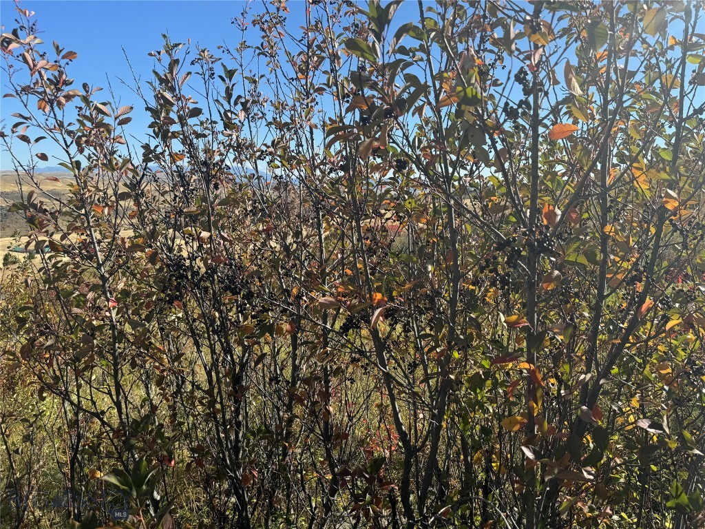 Tbd Rendezvous Trail Property Photo 37